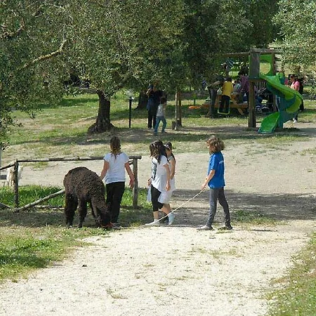 Agriturismo Pacifico *