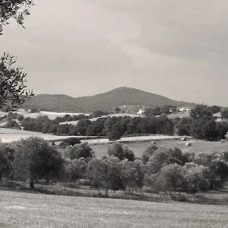 Agriturismo Pacifico Bauernhof
